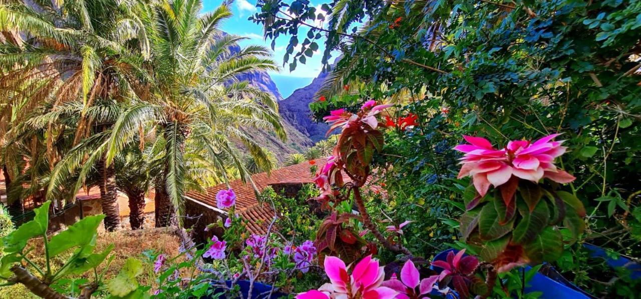 Ocean View Tenerife Сан Мигель Экстерьер фото